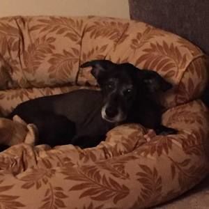 Meet your Posher, Rodney